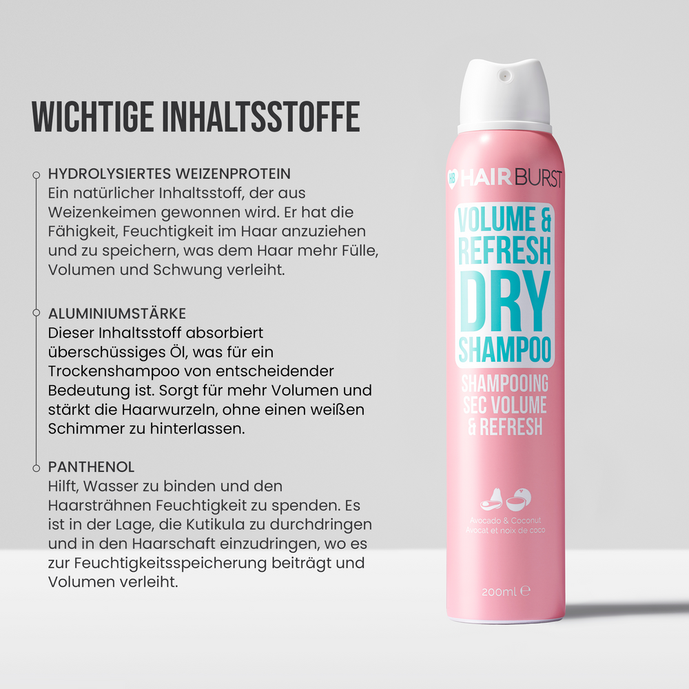Volumen & Erfrischungs Trockenshampoo