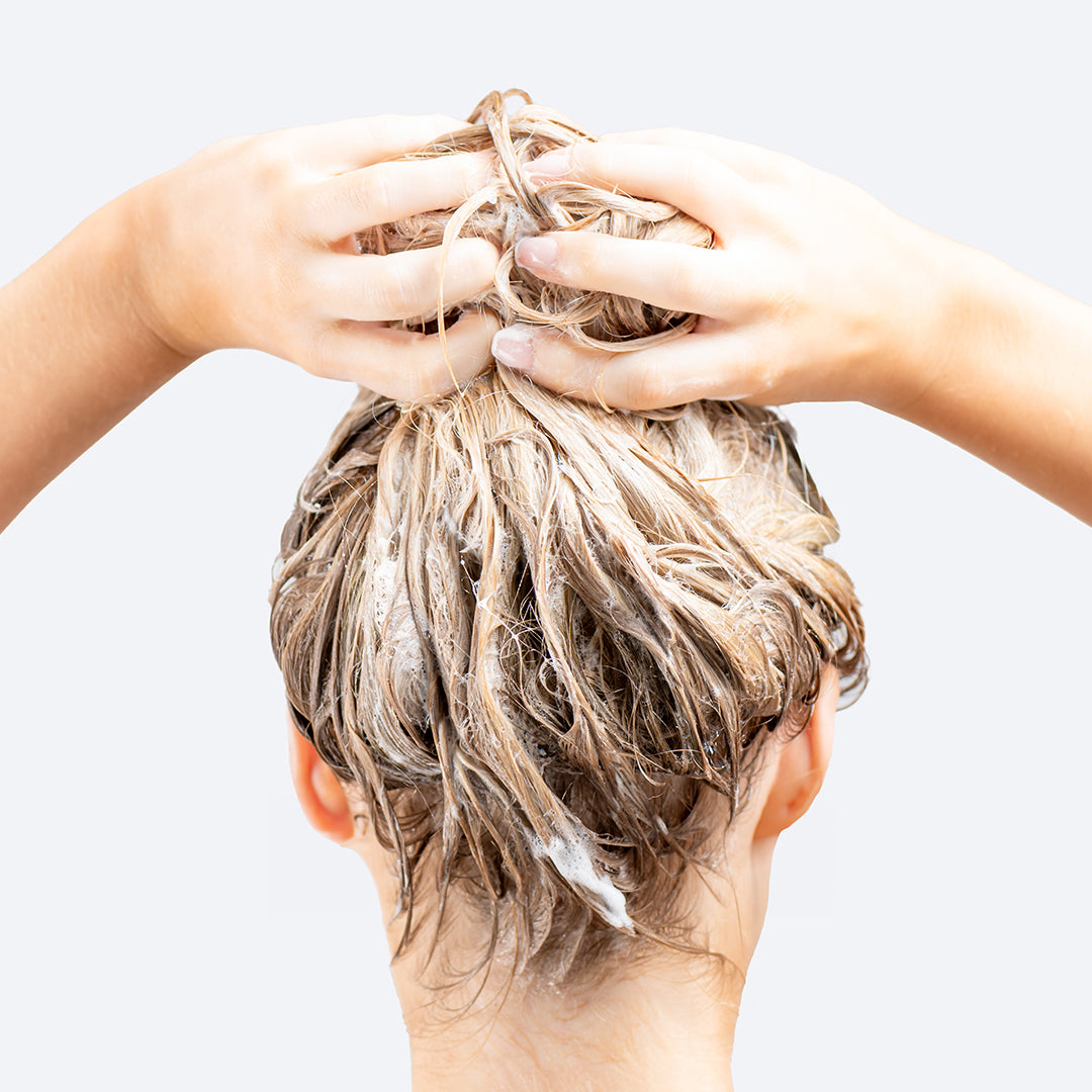 Shampoo & Spülung für trockenes & strapaziertes Haar