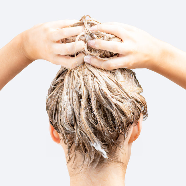 6. Bild von Shampoo für trockenes & strapaziertes Haar