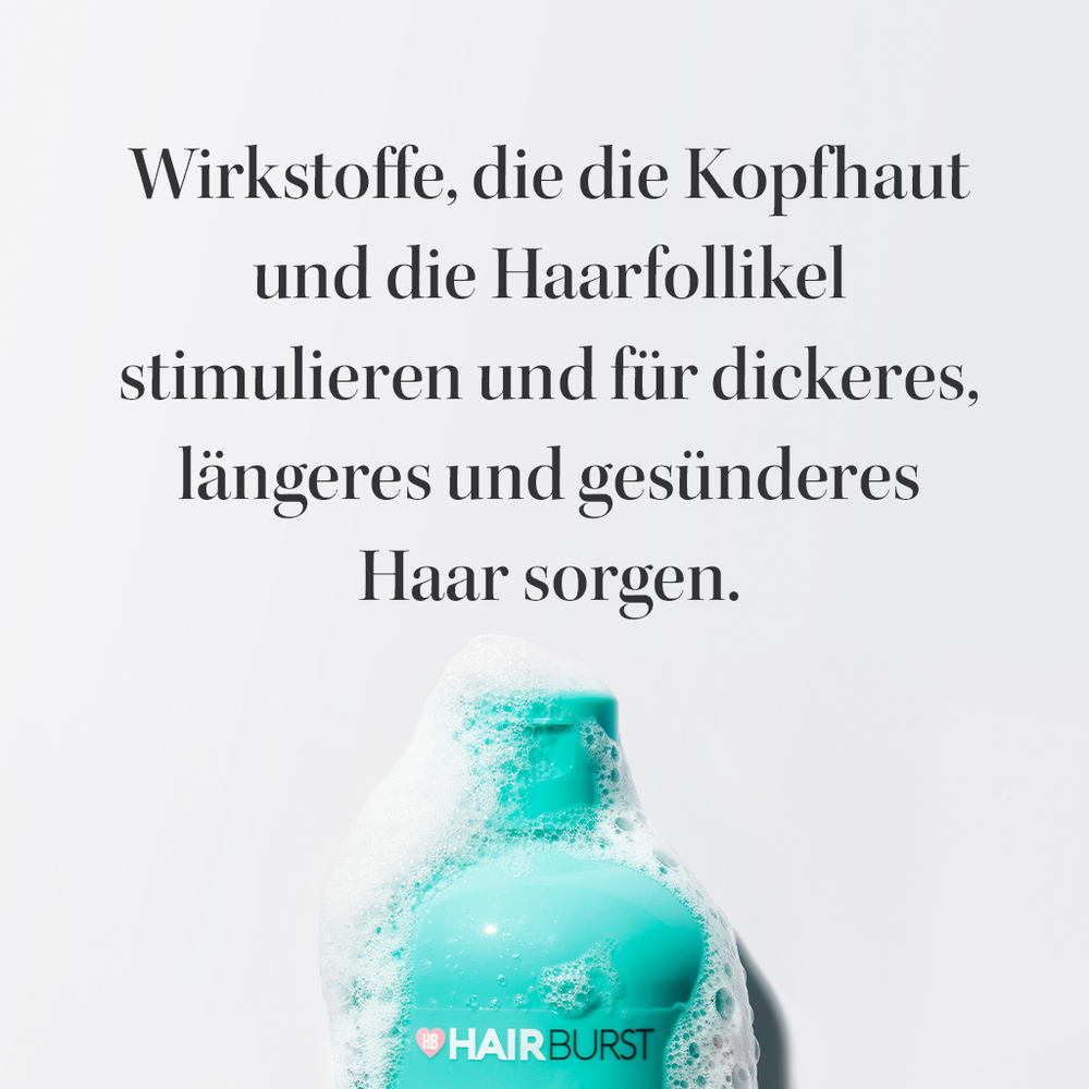 Original Shampoo & Conditioner Nachfüllpackung